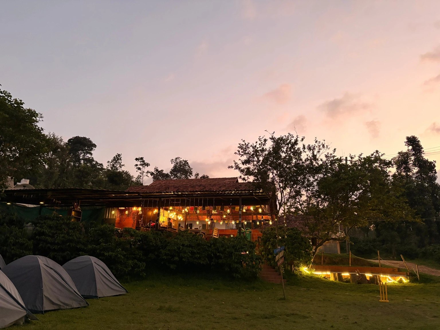 Luxury camping experience in a Chikmagalur coffee estate